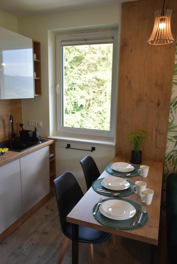 Świeradów-Zdrój Apartament Resto מראה חיצוני תמונה