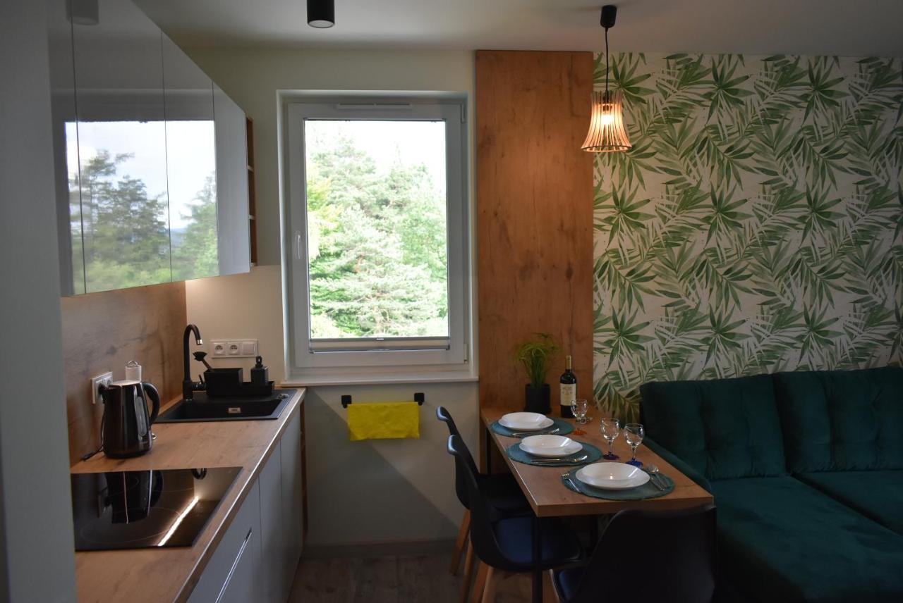 Świeradów-Zdrój Apartament Resto מראה חיצוני תמונה