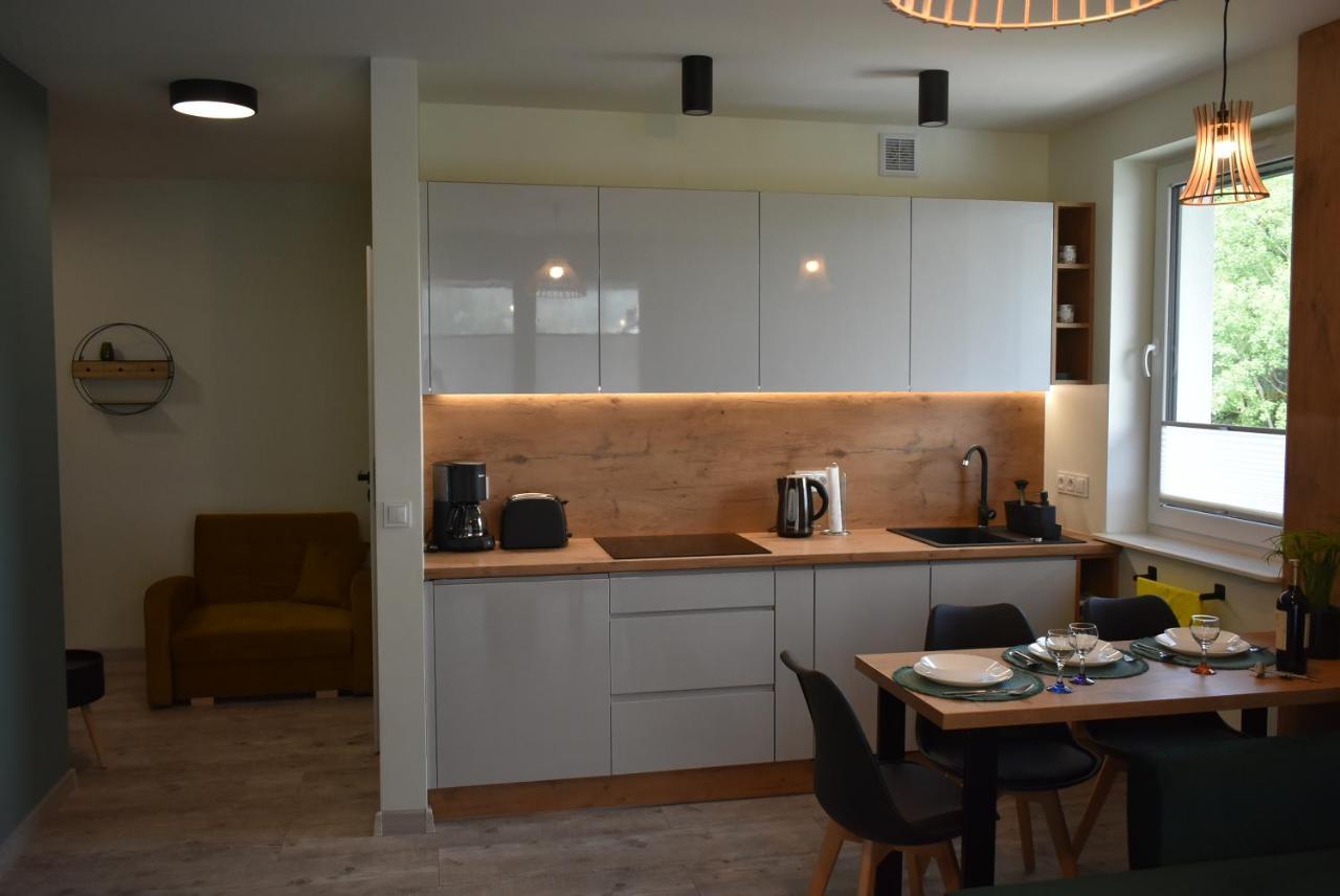 Świeradów-Zdrój Apartament Resto מראה חיצוני תמונה