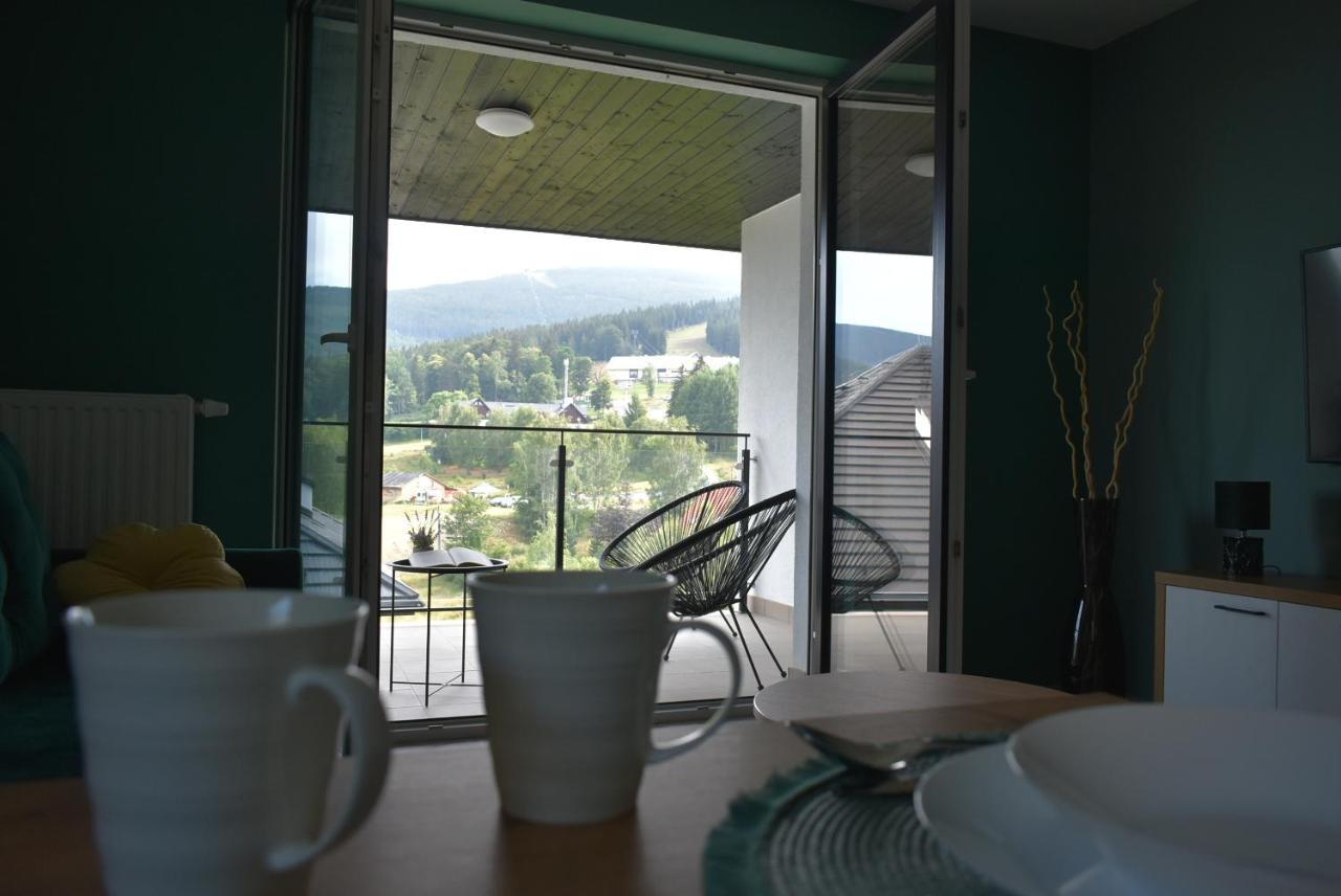 Świeradów-Zdrój Apartament Resto מראה חיצוני תמונה