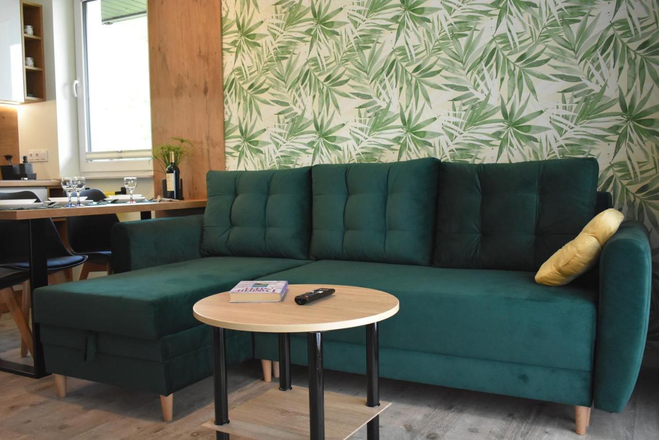 Świeradów-Zdrój Apartament Resto מראה חיצוני תמונה